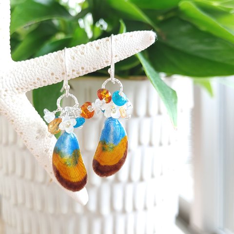 ❁Sunset shell earrings silver925❁ヴィンテージのシェル