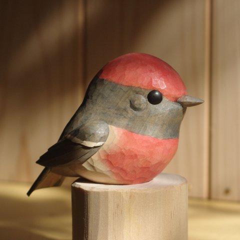 木から生まれたアカビタイサンショクヒタキさん　小鳥の置き物　バードカービング