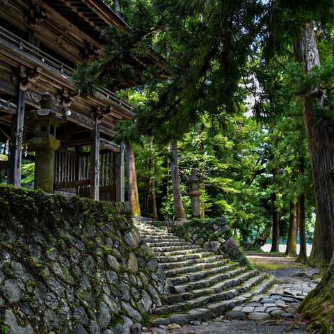 夏休みの神社