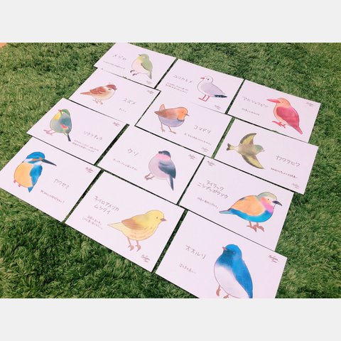 【おトク】野鳥さんのポストカードセット Vol.2