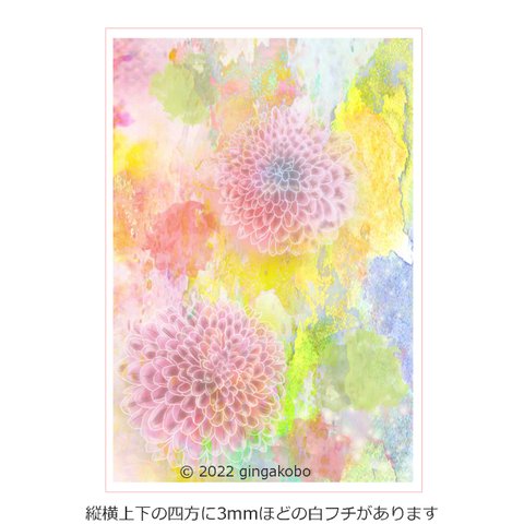 「星見草の詩林」  花　菊　ほっこり癒しのイラストA4サイズポスター　No.1028