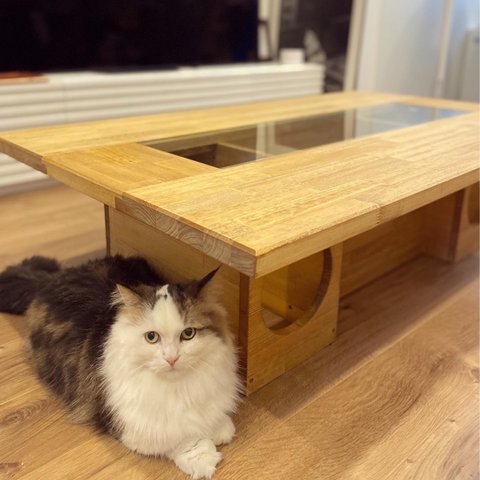 猫ちゃんが見えるローテーブル