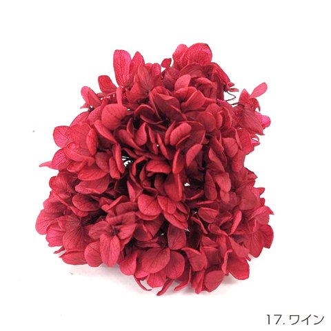 【即納】 ピラミッドアジサイグラバー 20g ワイン プリザーブドフラワー あじさい 紫陽花 花材 花 プリザーブド花材 ハンドメイド パーツ アクセサリー 資材 緑