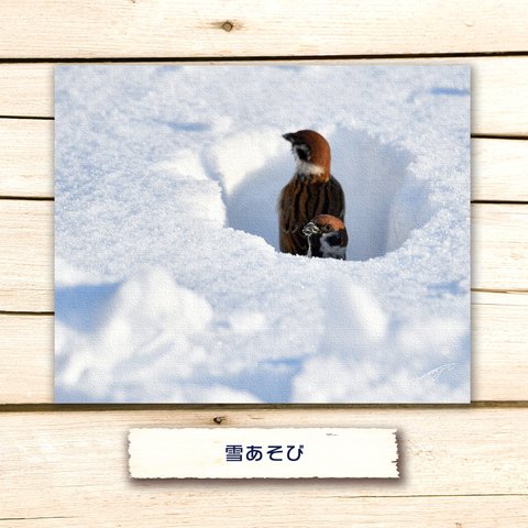 雪あそび【キャンバスタイプ】