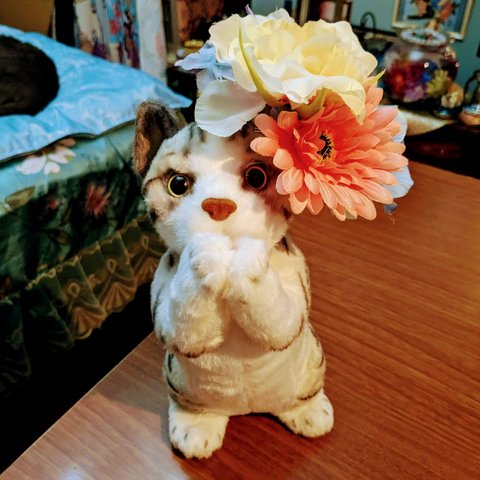 猫の花冠④