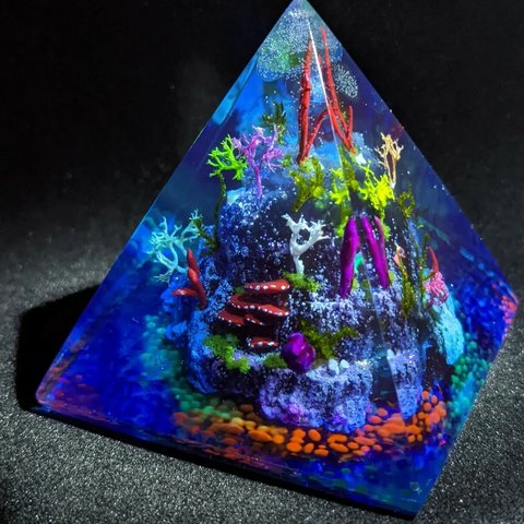 ピラミッド珊瑚礁　B