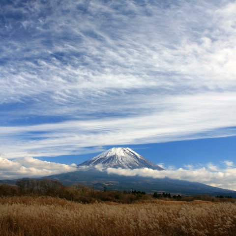 富士山