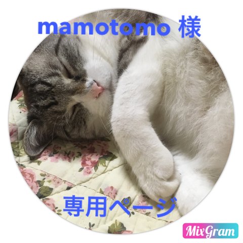 mamotomo 様  専用ページ