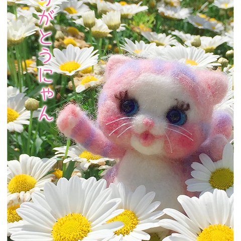 A6にゃん🐈  ありがとうにゃん🌷メルティカカード🌷🍓2枚で1セット🍓