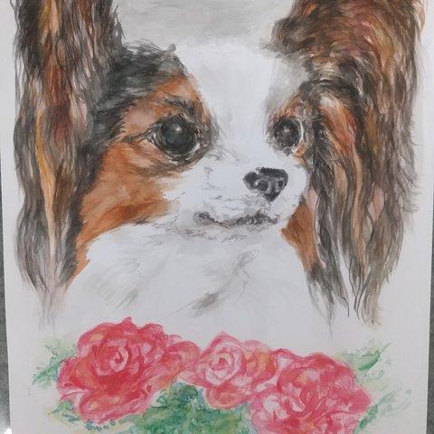 犬の絵 パピヨン 水彩画