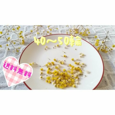 ♡かすみ草♡ドライフラワー♡イエロー【送料無料】