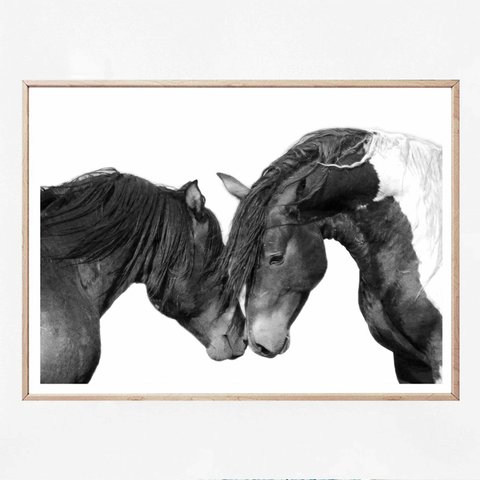 A4 アートポスター 「描きかけの馬」　おしゃれ 北欧 インテリア 雑貨