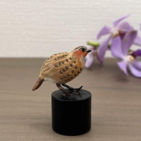 野鳥彫刻 コジュケイ ミニチュア