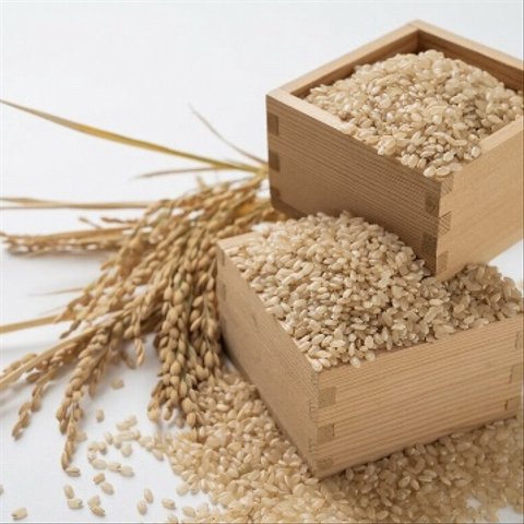 令和5年度玄米🌾長崎県認定特別栽培米にこまる１㎏🌾宮下さんちのおいしいお米