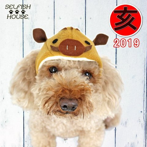 イノシシの帽子 犬猫用 【SS/S/M/L】 いのしし 亥年 2019 コスプレ かぶりもの 被り物 年賀状 干支