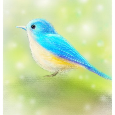 青い小鳥  ポストカード 机に飾れる　★送料無料★