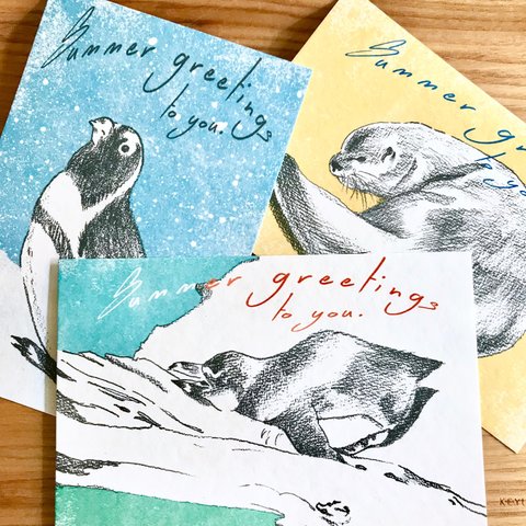 水辺の生き物 Summer greetings ポストカード 3枚セット  【暑中見舞い】