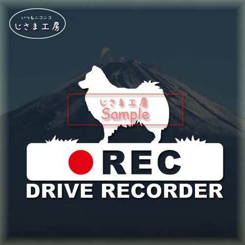 日本スピッツの白色シルエットステッカー‼後方注意‼『DRIVE　RECORDER』