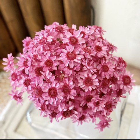 スターフラワーブロッサムアレンジ加工ピンクレッド小分け❣️ハンドメイド花材カラードライフラワー