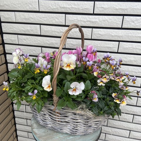 ⚠︎𝑆𝑂𝐿𝐷 𝑂𝑈𝑇⚠︎大きいカゴの寄せ植え♡