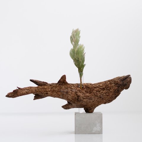 流木一輪挿し | driftwood flowervase | osakana no.4