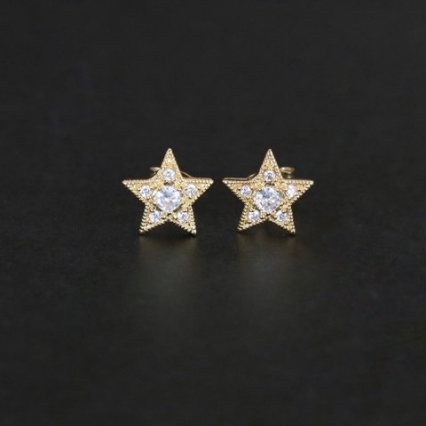 ＊star andジルコニアピアス＊