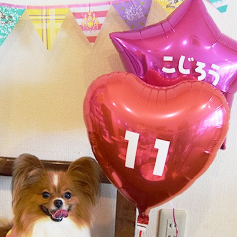 愛犬の誕生日　バルーンパーティーセット　お名前＆数字が入るよ(ピンク）