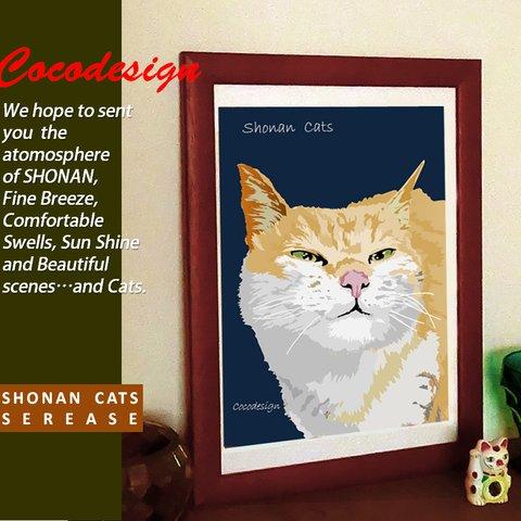 湘南Cats　ポートレイト６　シルバー猫 
