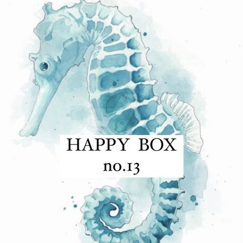 HAPPY BOX no.13🎁