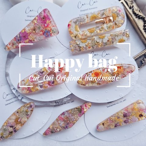 【･.｡*･.｡*Happybag･.｡*･.｡*】colorful系 レジンヘアクリップ/ドライフラワーアクセサリー/福袋