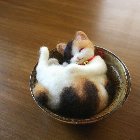 和カップ猫　ぷりん