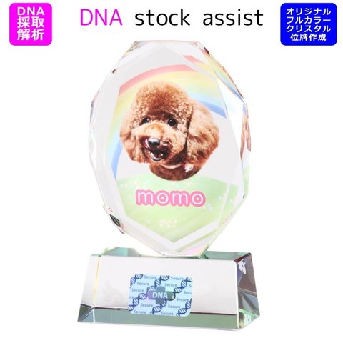 ペット 位牌 クリスタル 【DNA stock assist】虹のかけ橋 ホログラム入り 【 大切なあの子のDNAを保存 】DNA 保存 【 いのちを残す 】フルカラープリントサービス 写真彫刻 犬 