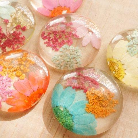 30mm 5個 花ガラスカボション 3花入 MIX クリア 貼付け ドーム フラワー