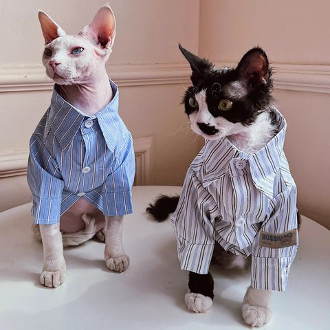 猫服 スフィンクス猫 薄くて快適ペット服 四季着用 2色 かわいい シャツ カレッジスタイル 縞 格好いい ペットウェア
