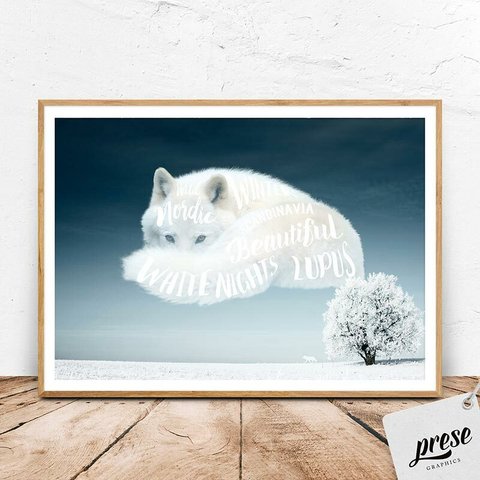  ホワイトウルフ 白い美しい狼
