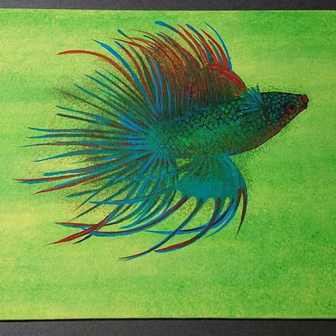 Betta fish [green]