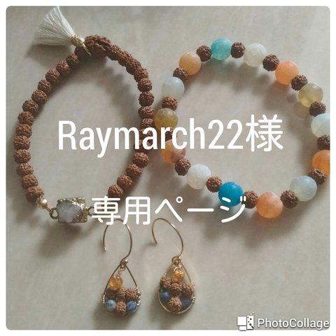 Raymarch22様 専用ページ