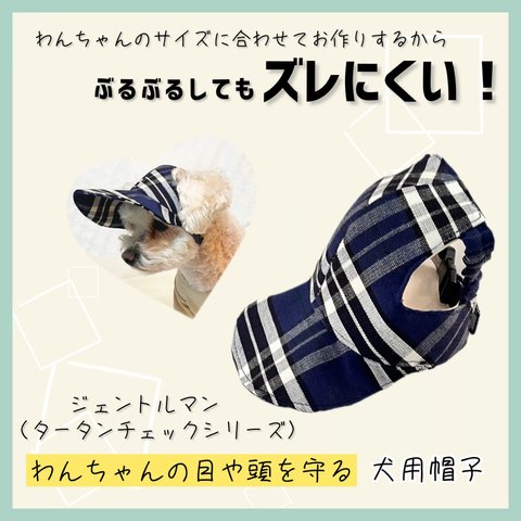  【SPRING/SUMMER Collection】わんちゃんの目や頭を守る犬用帽子　タータンチェックシリーズ・ジェントルマン