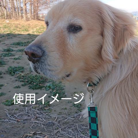 市松模様柄リード🌸～中型犬