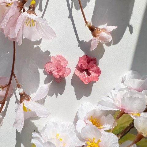 紫陽花桜🌸本物の紫陽花 ピアス・イヤリング