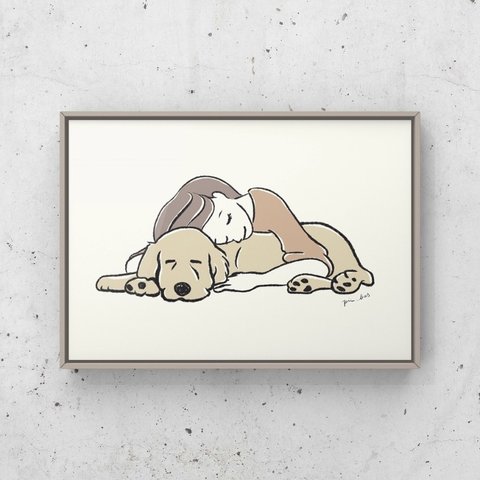 ゴールデンレトリバー【ナップタイム】A4ポスター　犬　ペット