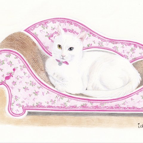 オッドアイ白猫 on 爪研ぎソファー(色鉛筆画)