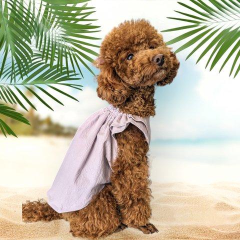 犬服 ふんわりギャザーワンピース 春夏ワンピ 完成品