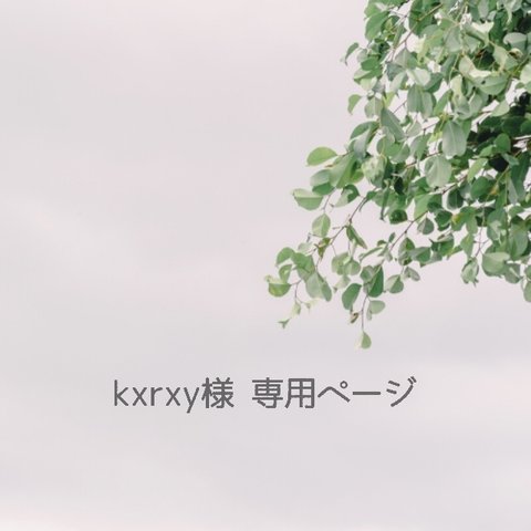 kxrxy様 専用ページ