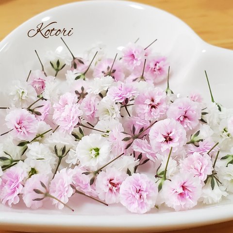 かすみ草ドライフラワー☆１００個(大小混合)　桜ピンク&白色