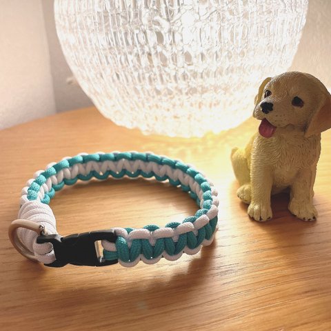 マクラメ　dog collar