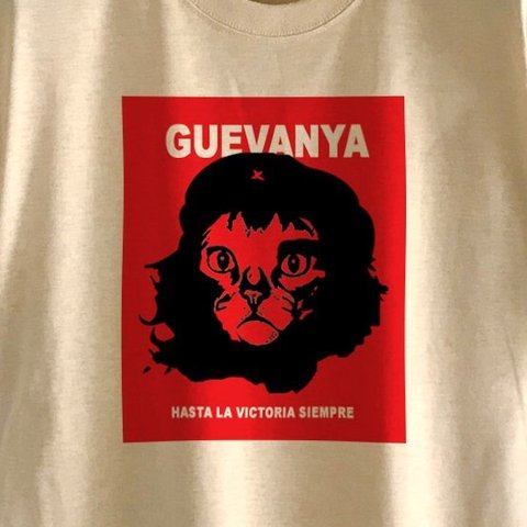 GUEVANYA / DRY Ｔシャツ / BEIGE