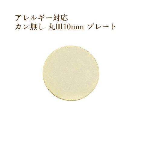 [10個] 316 / カン無し / 丸皿 / プレート / 10mm [ ゴールド 金 ] サージカルステンレス チャーム / 金具 / メタル / ラウンド / パーツ / アレルギー対応