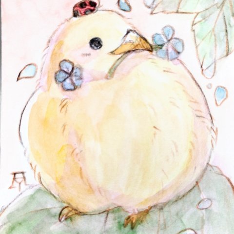 ひよこ　透明水彩イラスト原画