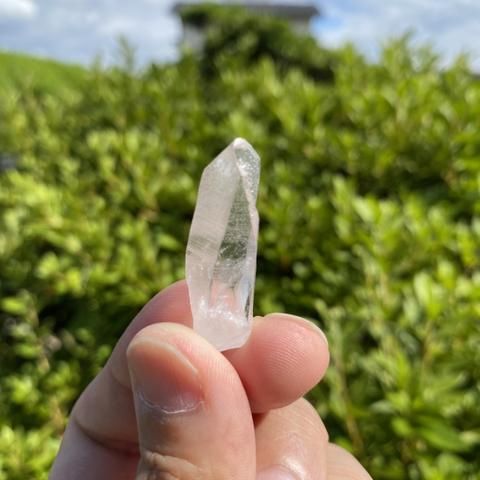 【 一座 】希少 1点物　レムリアンシードクリスタル（ Lemurian Seed Crystal ）2バチカン付き